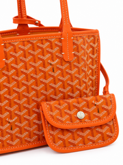 Goyard Anjou Mini Bag 2 Face – Orange
