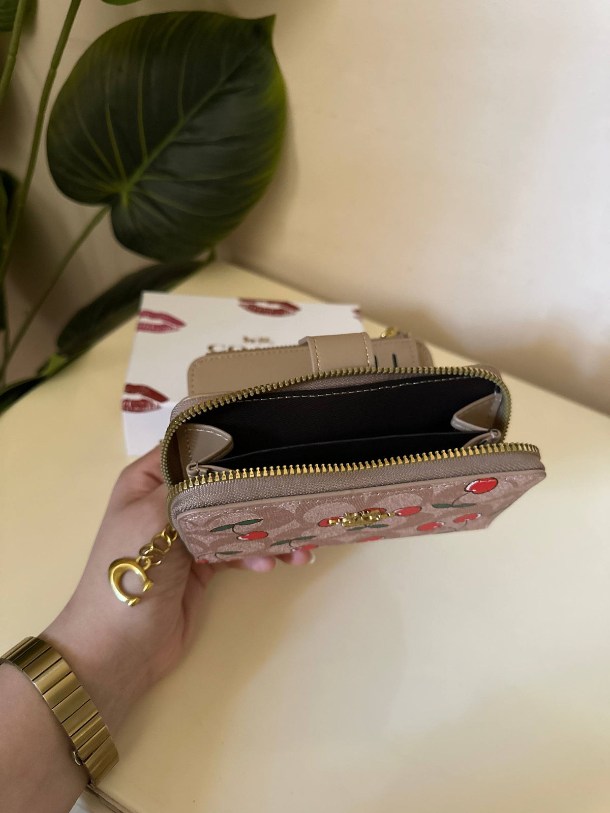 Coach Signature Cherry Print Wallet - Khaki brown