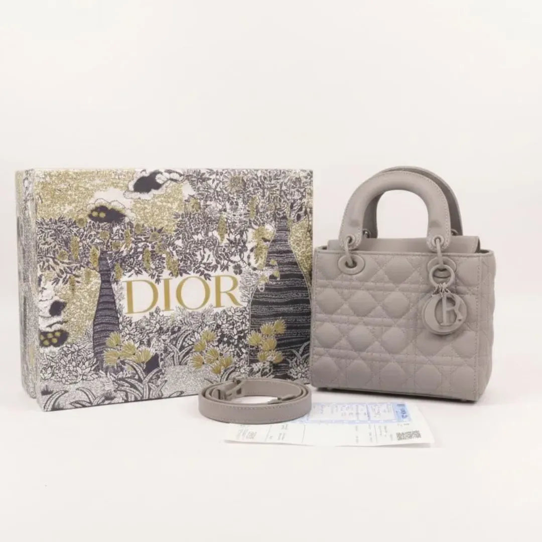 Mini Lady Dior Bag - Gray