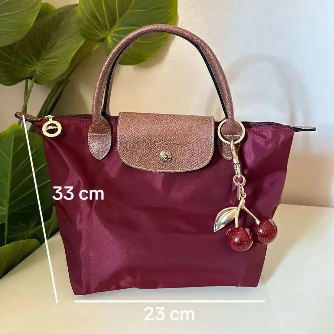 Medium Mirror Long Champ - Burgundy