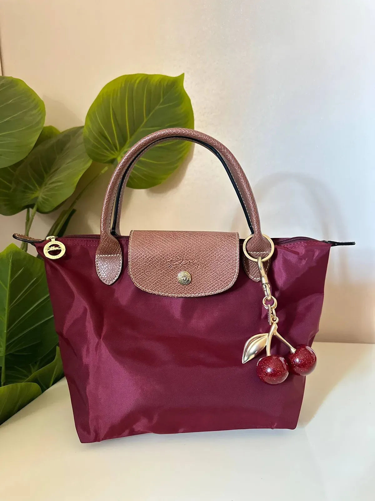 Medium Mirror Long Champ - Burgundy