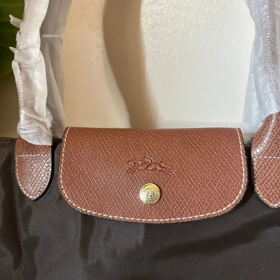 Large Mirror Long Champ - Brown