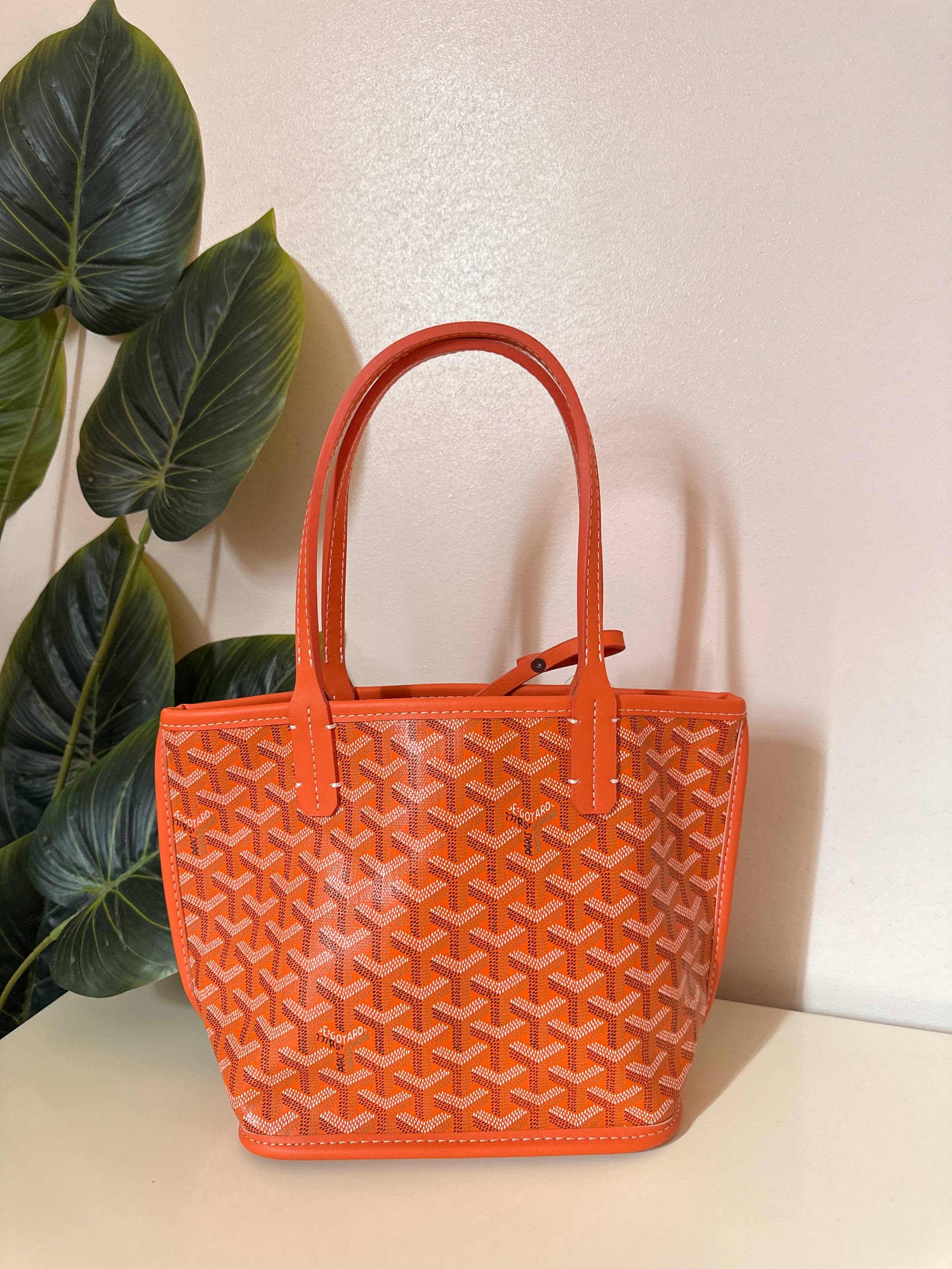Goyard Anjou Mini Bag- Orange