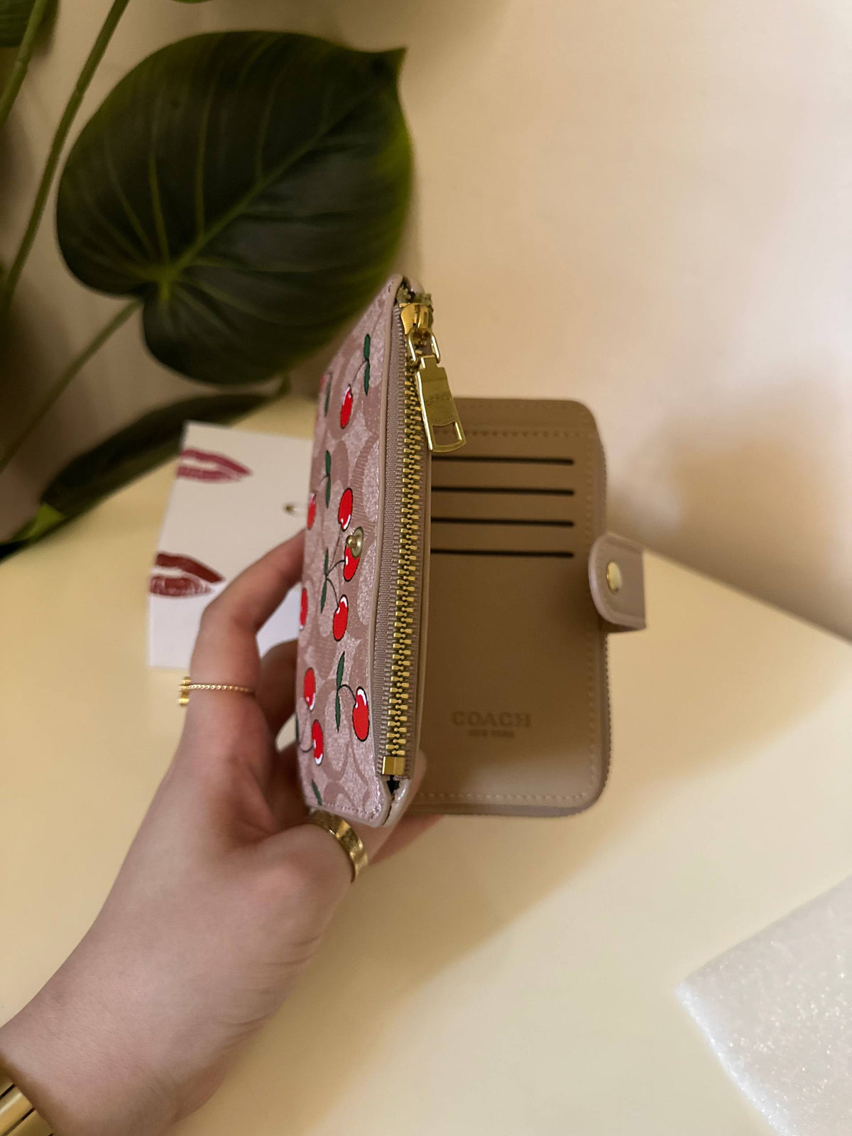 Coach Signature Cherry Print Wallet - Khaki brown