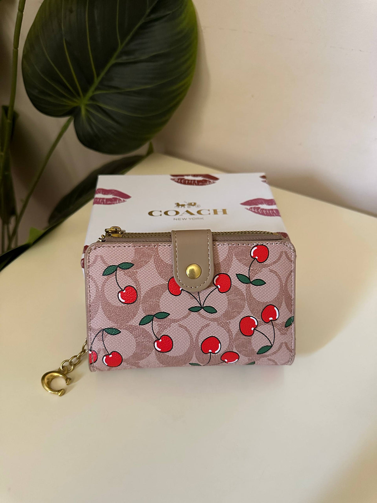 Coach Signature Cherry Print Wallet - Khaki brown