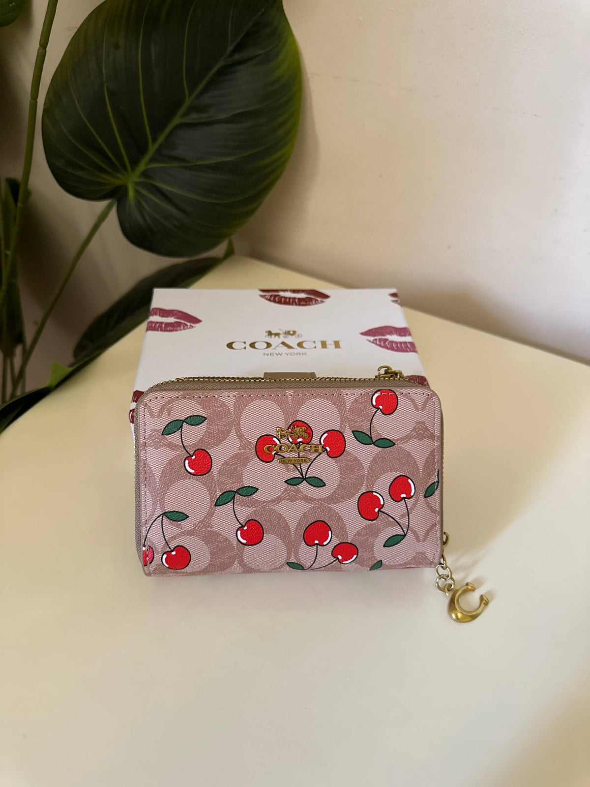 Coach Signature Cherry Print Wallet - Khaki brown